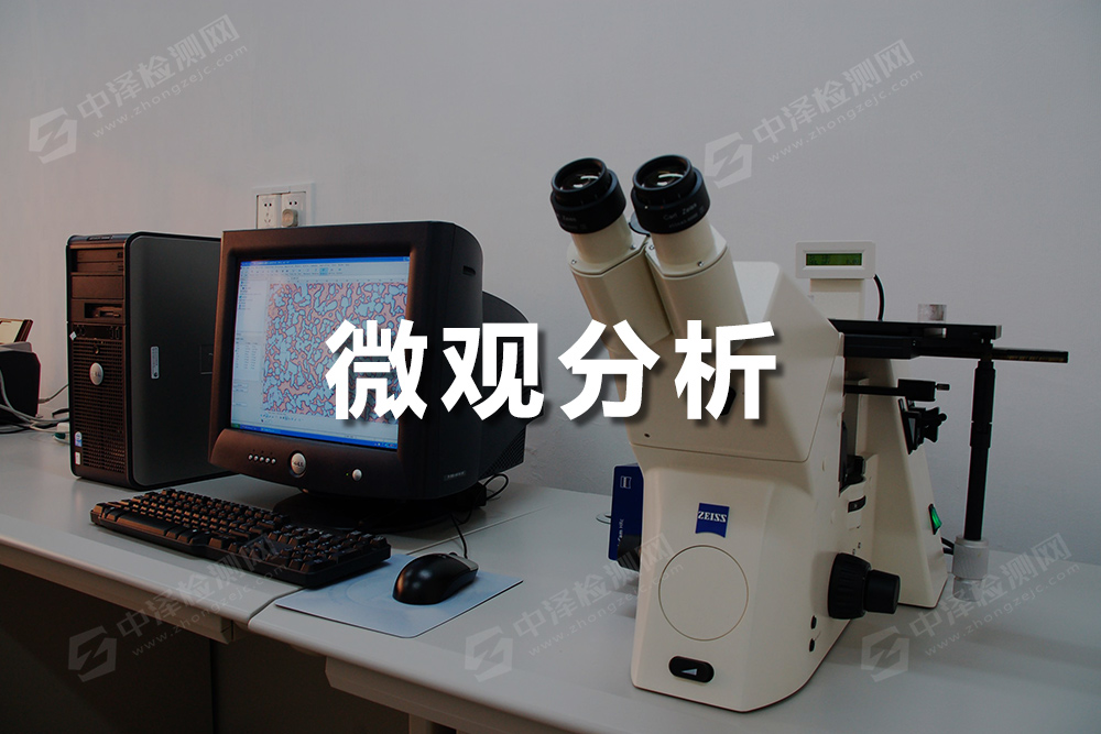 微觀分析
