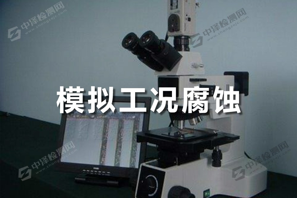 模擬工況腐蝕